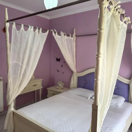 Nadi Penthouse With Sea View *